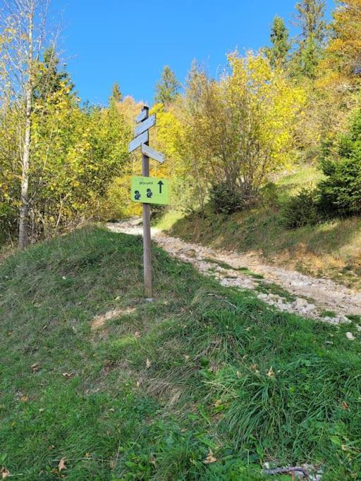 Le Duplex, Superbe Cocon Au Coeur Des Rousses, Tout Confort 5 Pers, Draps Inclus Les Rousses Dış mekan fotoğraf